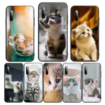 Maži pieno katė Telefono Dėklai Huawei mate 9 10 lite 20x 30 pro nova 5t y5 y7 y9s premjero 2018 2019 Padengti Fundas Coque